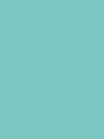 BALI GREEN RV 144