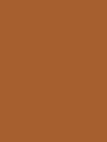 BEAN BROWN RV 98