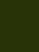 BORNEO GREEN RV 132