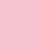 CHEWING GUM RV 193