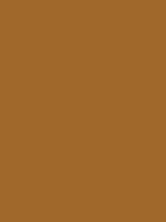 CHIAPAS BROWN RV 97