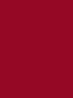 CLANDESTINE RED RV 47