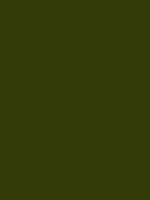 COMARACA GREEN RV 131