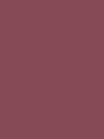 COMPACT RED RV 89