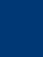 DARK BLUE 5005