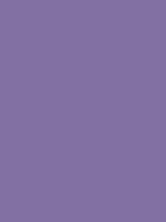 DESTINY VIOLET RV 172