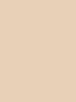 DINGO BROWN RV 94