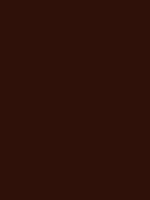 EBONY BROWN RV 101