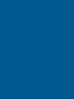 ELECTRIC BLUE RV 30