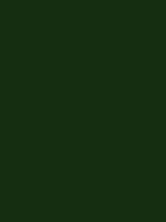 ERA GREEN RV 127