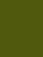 EUSKADI GREEN RV 130