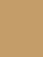 MTN 94 - Frame Gold