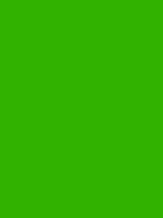 MTN 94 - FLUOR / Green