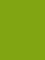 MTN 94 - RV 34 / Guacamole Green
