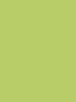 IGUANA GREEN RV 273