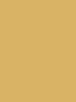 INCA BROWN RV 136