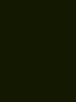 INFINITY GREEN RV 134
