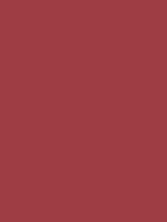 INTERRAIL BROWN RV 204