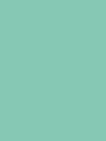 JAVA GREEN RV 199