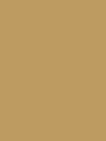 KRAFTZ BROWN RV 137