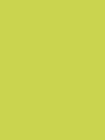 RV 281 / Laser Green