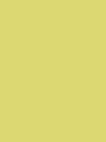 LERMON YELOW RV 1016