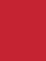 MADRID RED RV 241