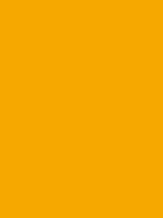 MEDIUM YELOW RV 1028