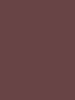 MOSQUITO BROWN RV 202