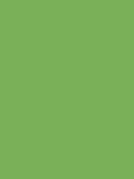 MYSTIC GREEN RV 271