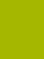 NEON GREEN RV 125