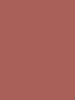 OAK BROWN RV 203