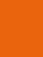 ORANGE RV 2004
