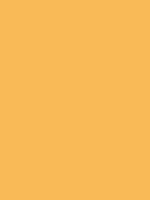 MTN 94 - RV 1017 / Peach