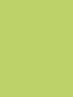 PISTACHIO GREEN RV 16
