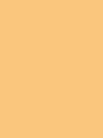 ALIVE ORANGE