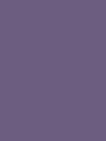 REVEREND VIOLET RV 274