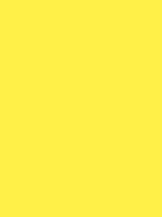 MTN HC2 - RV 20 / Party Yellow