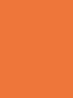 VEST ORANGE