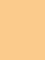 MTN HC2 - RV 206 / Atacama Yellow