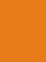 MTN 94 - RV 207 / Mango