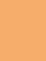 MTN HC2 - RV 208 / Pumpkin
