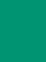 MTN HC2 - RV 21 / Surgical Green