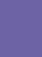 MTN HC2 - RV 215 / Prophet Violet