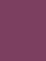MTN HC2 - RV 226 / Tube Violet