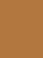 MTN HC2 - RV 249 / Greyhound Brown