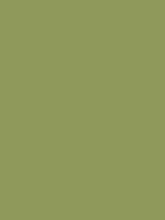 MTN HC2 - RV 250 / Rambo Green