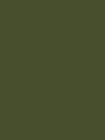 MTN HC2 - RV 251 / Forest Green