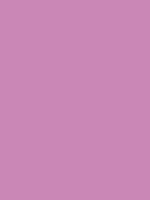 MTN HC2 - RV 257 / Princess Violet