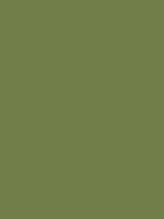 MTN HC2 - RV 6013 / Khaki Green